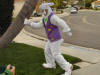 Me, as the Easter Bunny for our neighborhood kids!