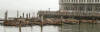Pier 41 - we're serenaded by a chorus of sea lions while waiting to board the  ferry to Alcatraz and Angel Islands.