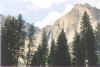 Yosemite Valley; view of the falls